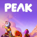 PEAK game logo