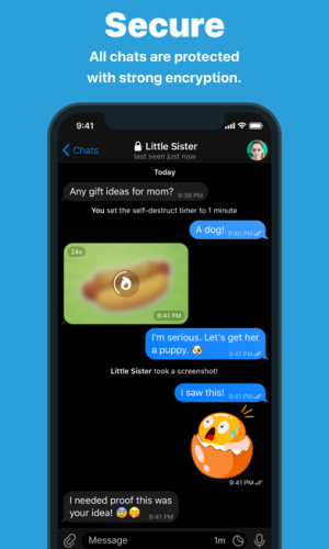 Telegram Messenger app picture 3 download