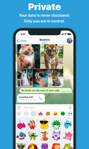 Telegram Messenger app picture 4 download