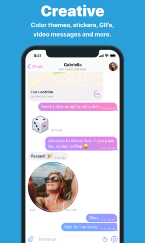 Telegram Messenger app picture 6 download