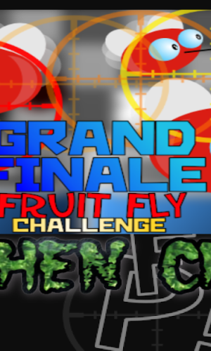 Fly PANIC! game picture 6 download