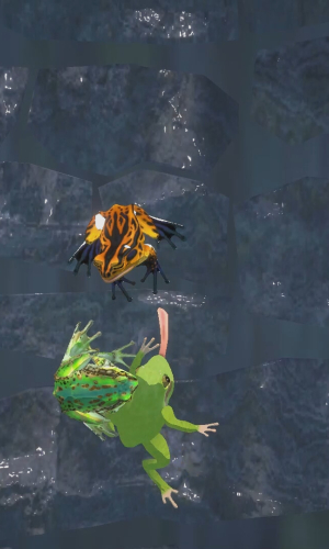 I'm a frog game picture 5 download