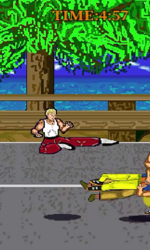 胜利快打传 Win The Fight Legend 戦いの伝説に勝つ game picture 17 download