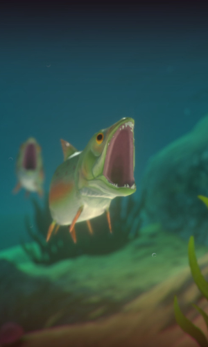 Feed and Grow: Fish game picture 6 download